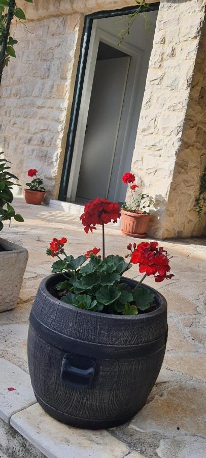 Holiday Home Jakov Bibinje Dış mekan fotoğraf